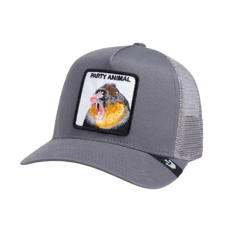 Goorin Bros The Party Animal Cap - Grey