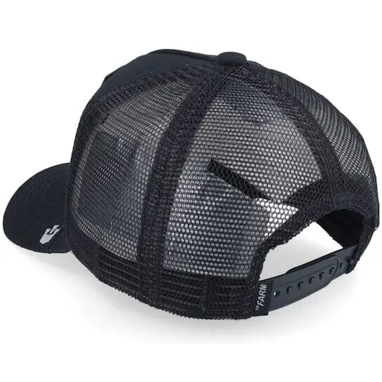 Goorin Earn Your Stripes Youth Cap 