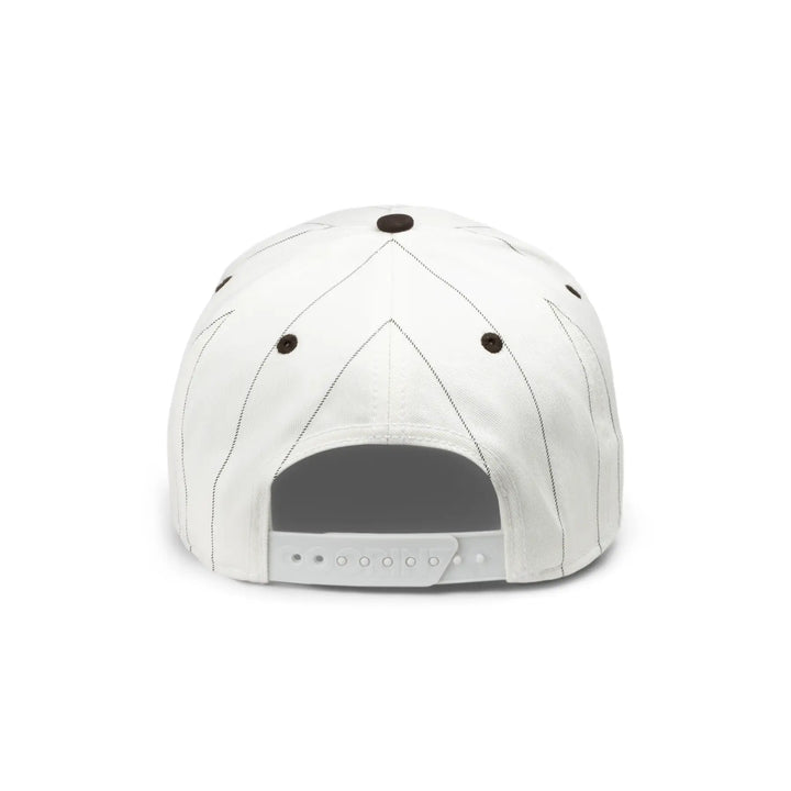 Goorin Pinstripe Lion Trucker Cap - Mineral Grey