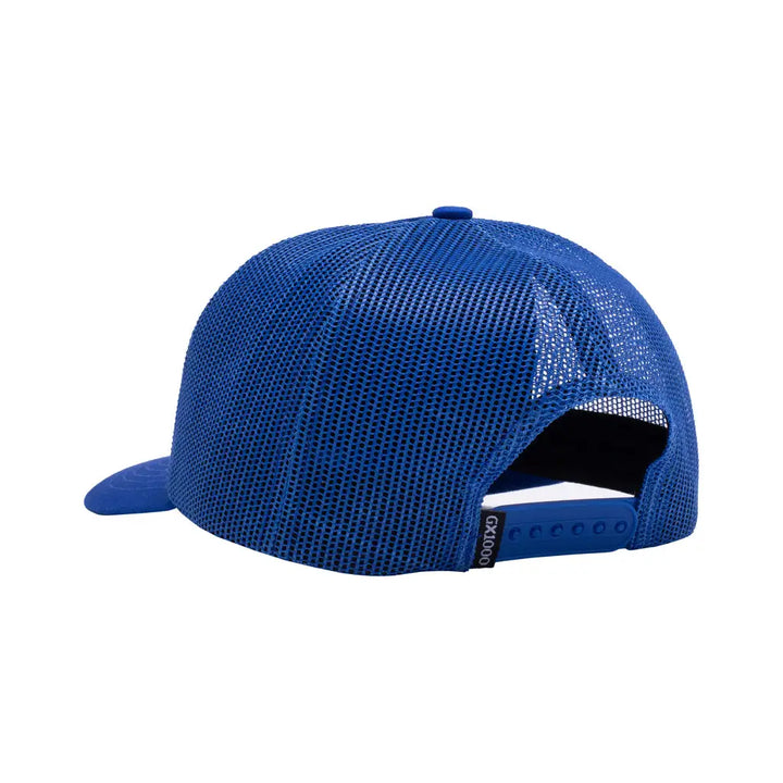 GX1000 Surrounded by Idiots Cap - Royal