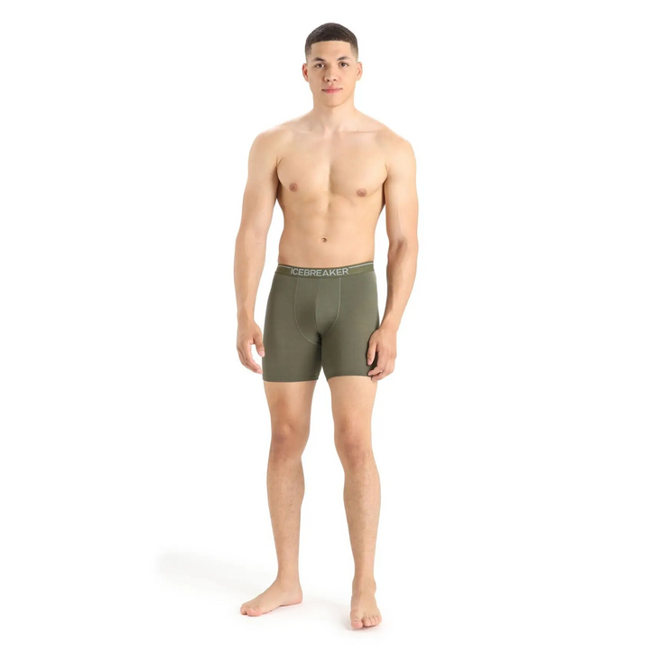 Icebreaker Anatomica Long Boxers 
