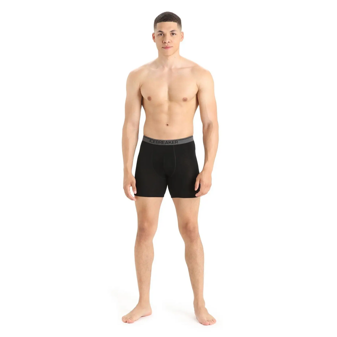 Icebreaker Anatomica Long Boxers 