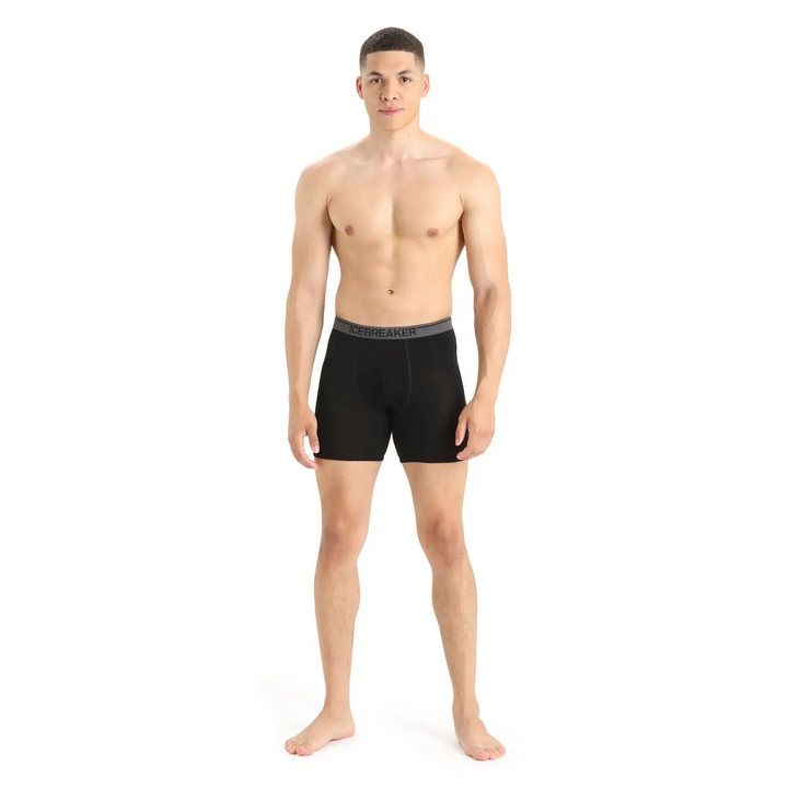 Icebreaker Anatomica Long Boxers 