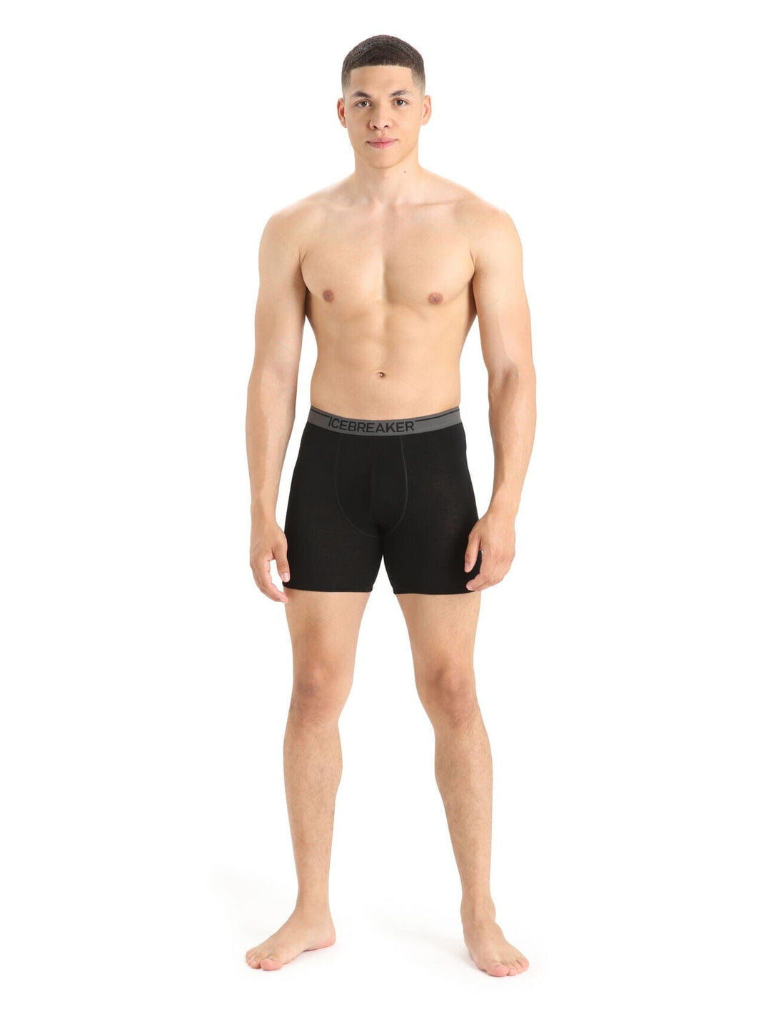 Icebreaker Anatomica Long Boxers 
