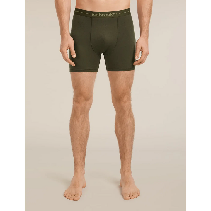 Icebreaker Merino 150 Anatomica Boxers - Lichen / Dark Loden / S