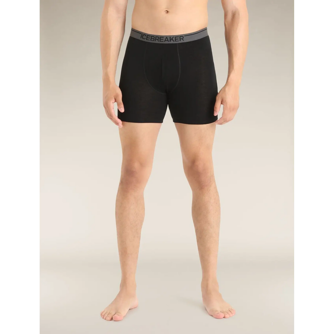 Icebreaker Merino 150 Anatomica Long Boxers 