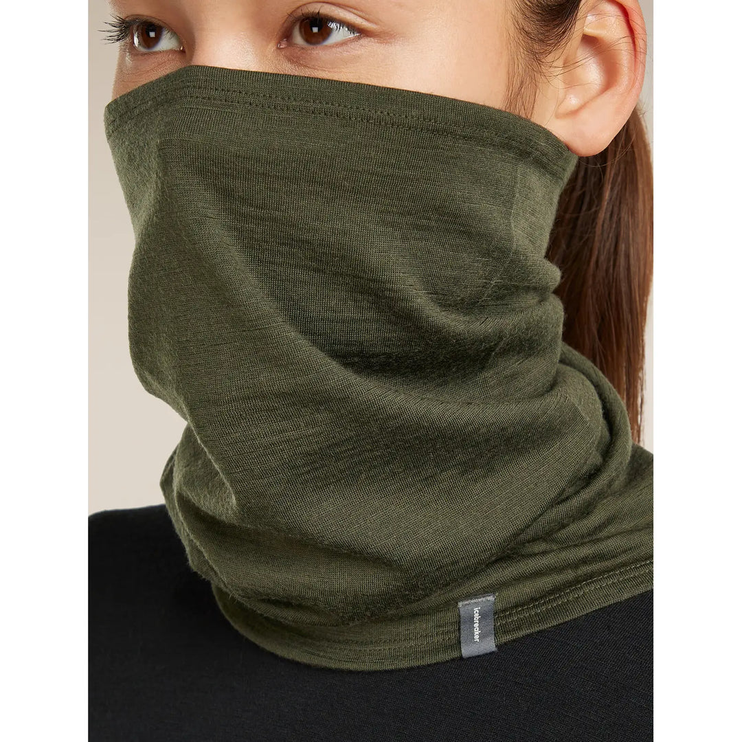 Icebreaker Merino 200 Oasis Flexi Chute - Dark Loden