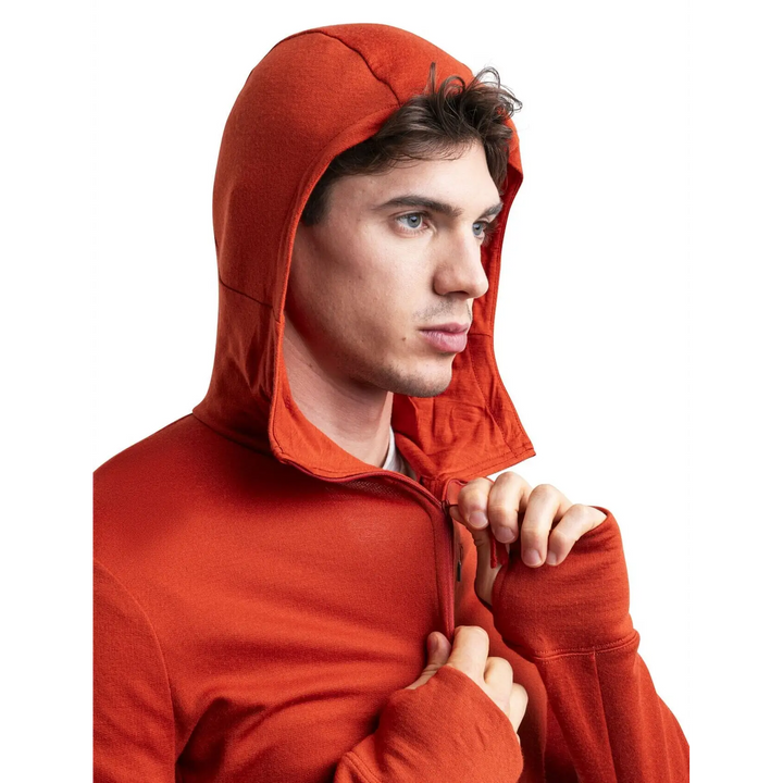 Icebreaker Merino 260 Quantum IV Long Sleeve Zip Hoodie 