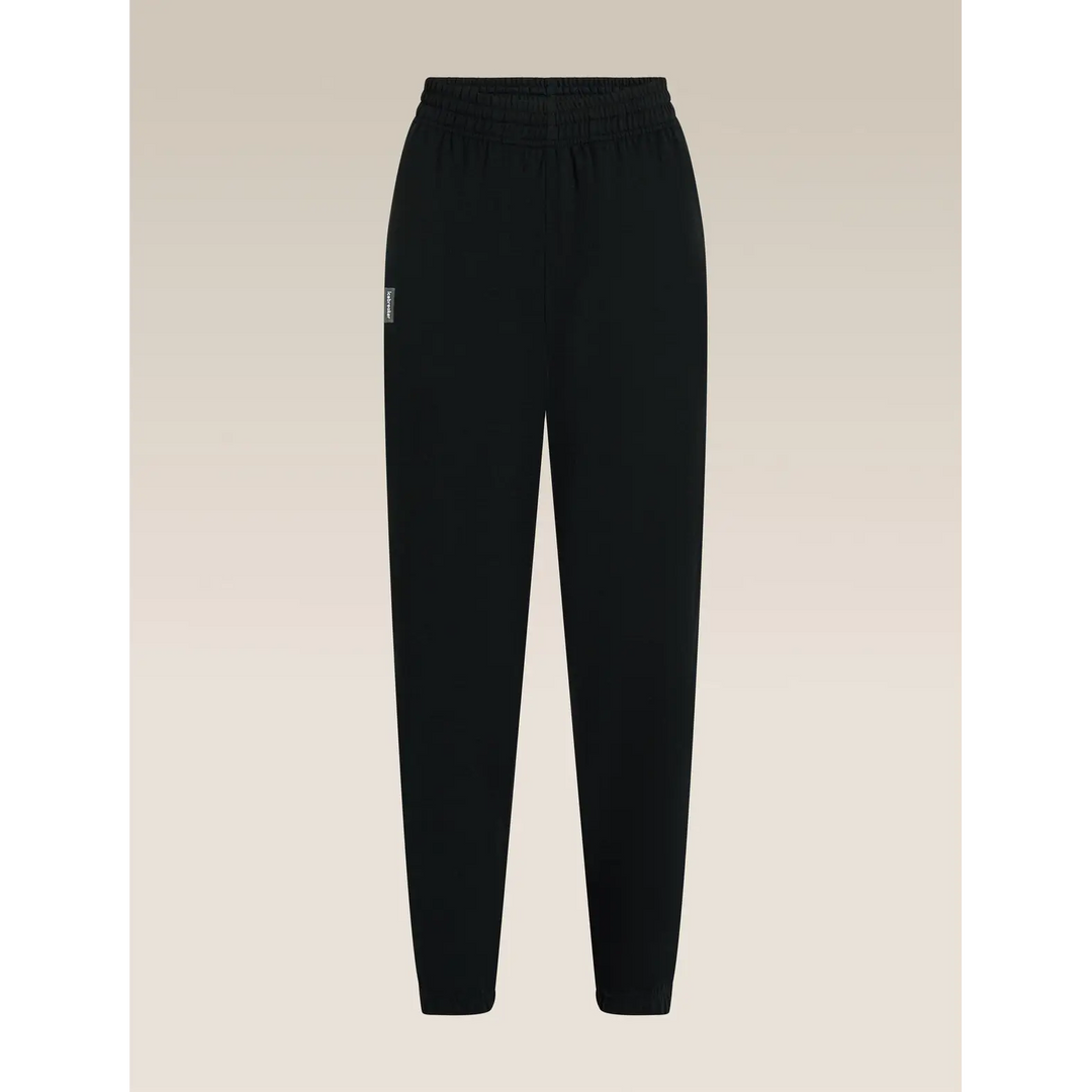 Icebreaker Womens Merino Blend 150 Drift Pants