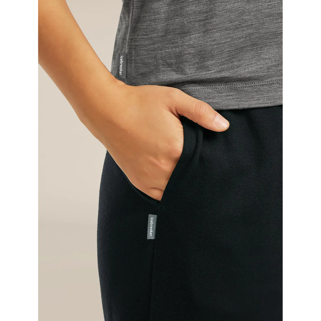 Icebreaker Womens Merino Blend 150 Drift Pants