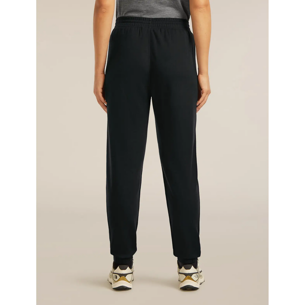 Icebreaker Womens Merino Blend 150 Drift Pants