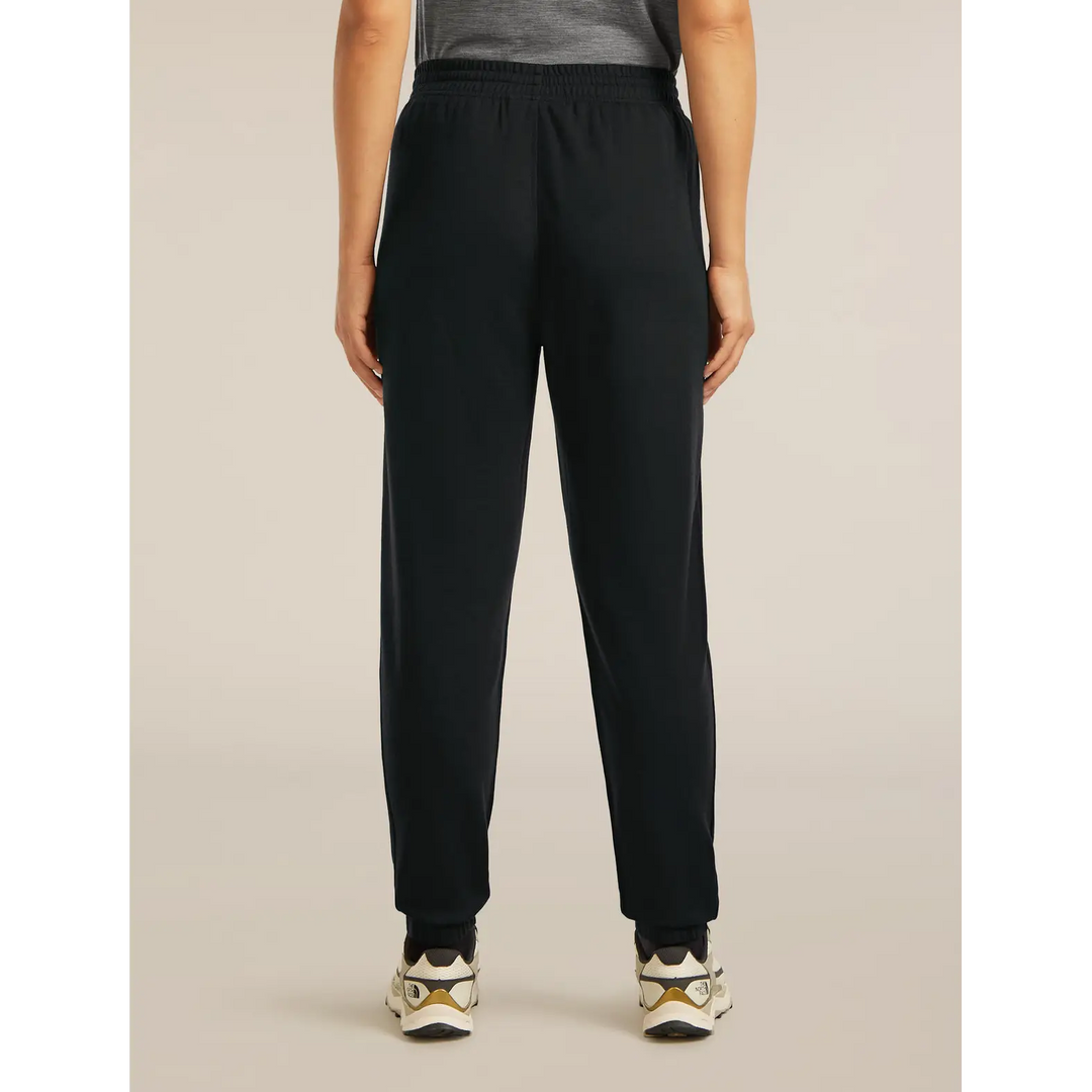 Icebreaker Womens Merino Blend 150 Drift Pants