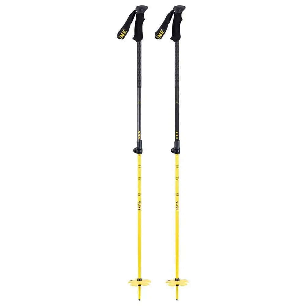 Line Vision Ski Poles 