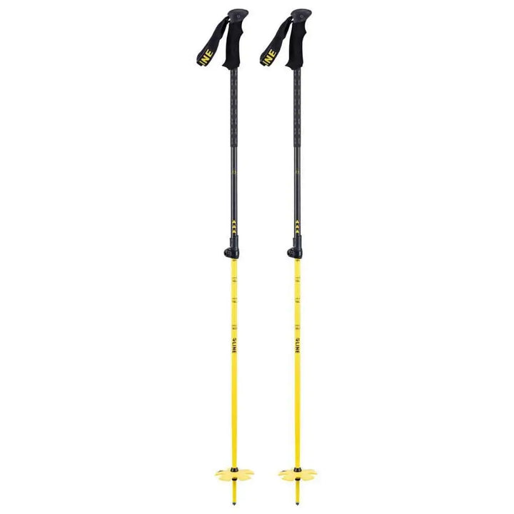 Line Vision Ski Poles 