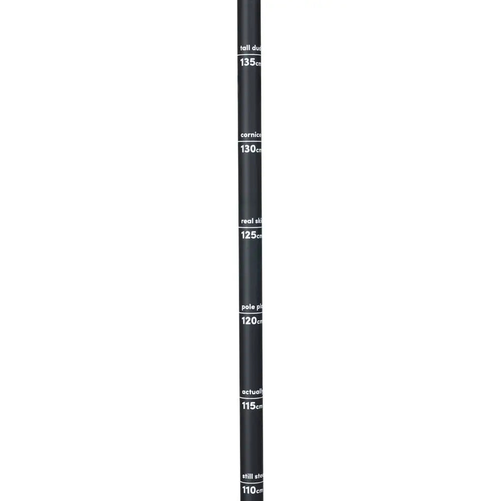 Line Vision Ski Poles 