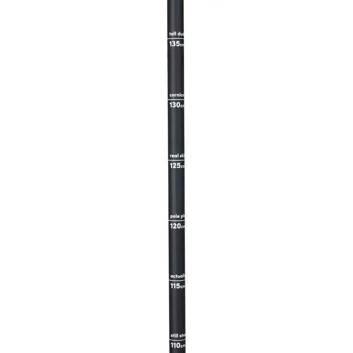 Line Vision Ski Poles 