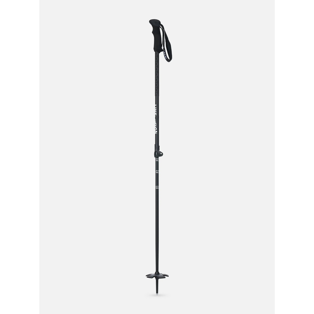 Line Vision Ski Poles 