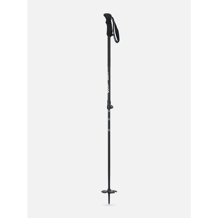 Line Vision Ski Poles 