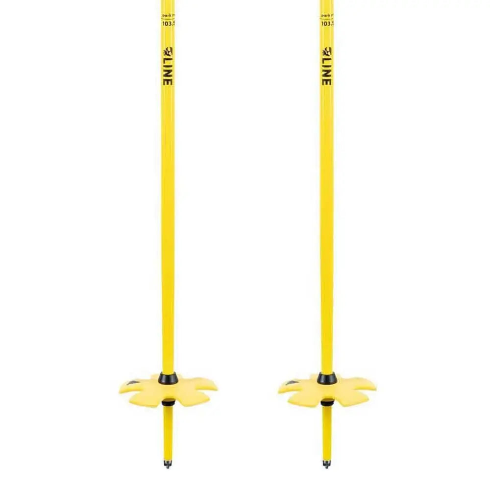 Line Vision Ski Poles 