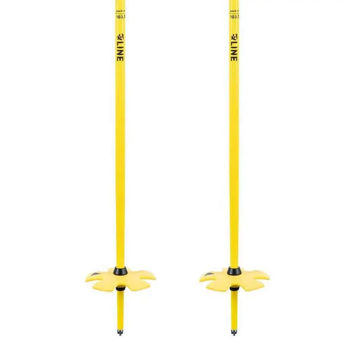 Line Vision Ski Poles 