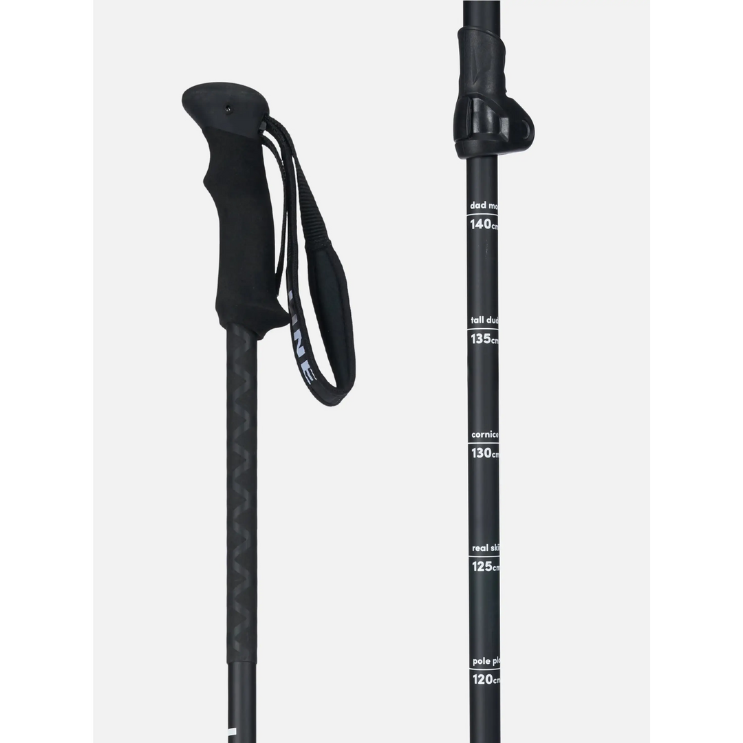 Line Vision Ski Poles 