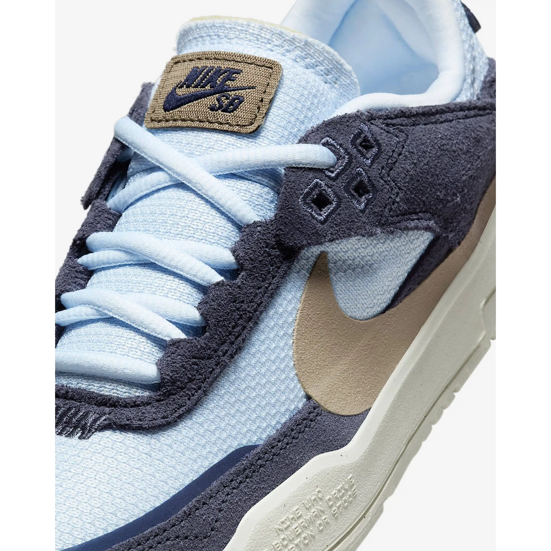 Nike SB Day One Youth Skate Shoes 