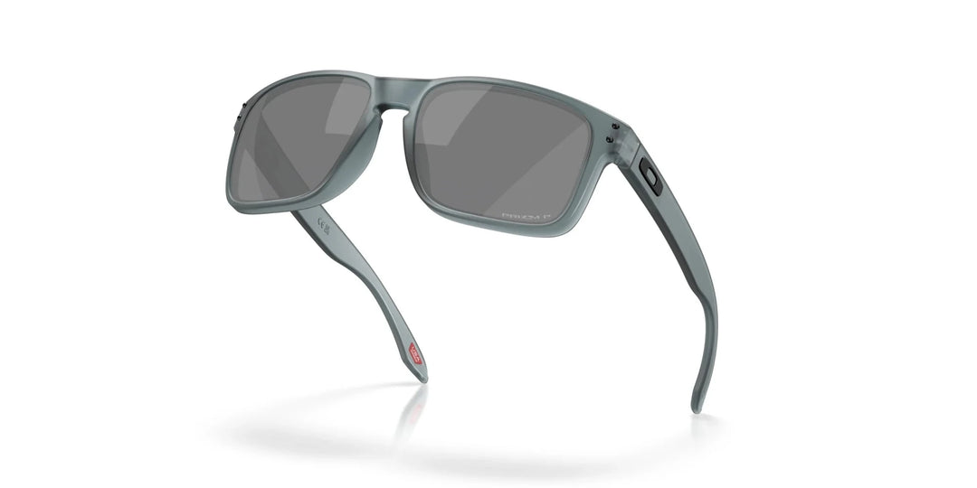 Oakley Holbrook Polarised Sunglasses 