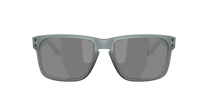 Oakley Holbrook Polarised Sunglasses 