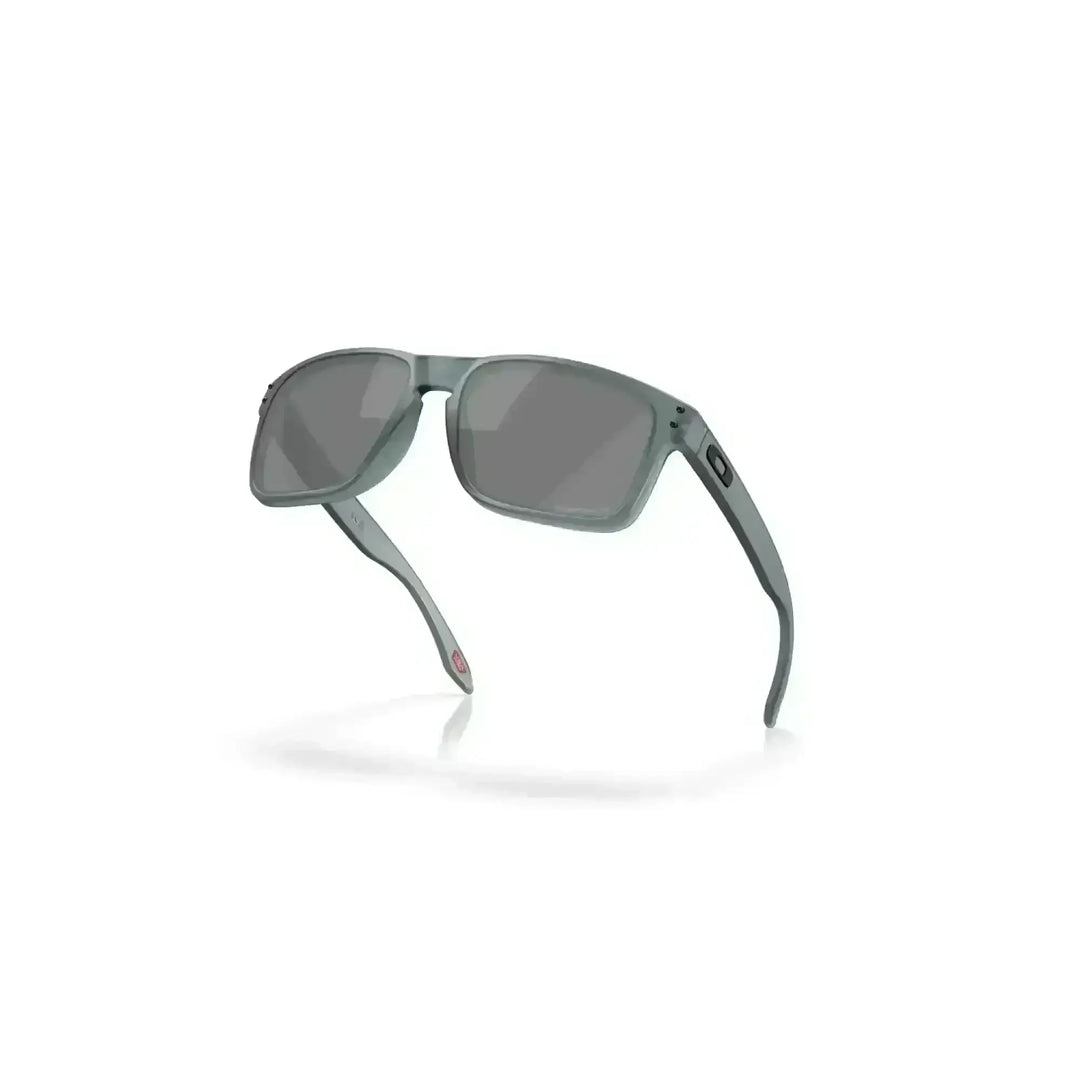 Oakley Holbrook Polarised Sunglasses 