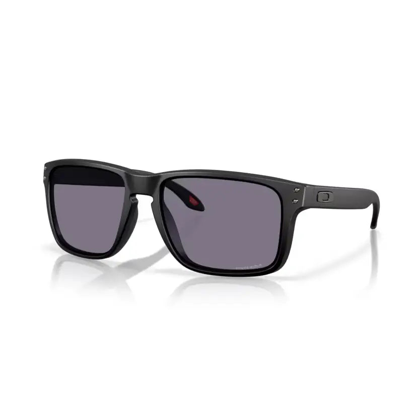 Oakley Holbrook XXL Sunglasses Matte black / Prizm Grey 