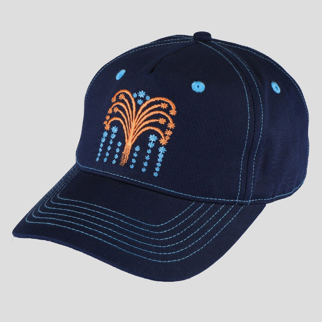 Passport Roman Candle Packers Cap Navy 