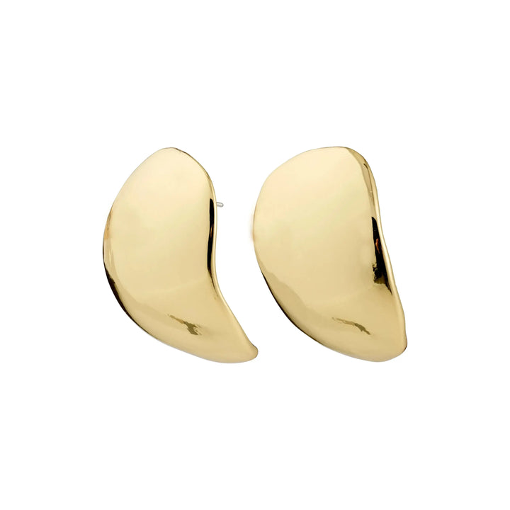 Pilgrim Sparkle Earrings Gold Plated 