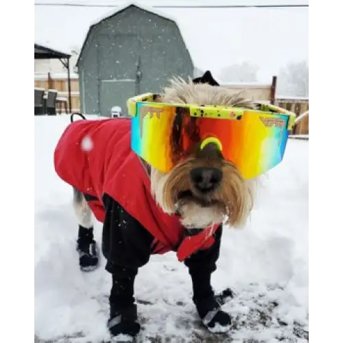 Pit Viper The 1993 2000's Sunglasses 