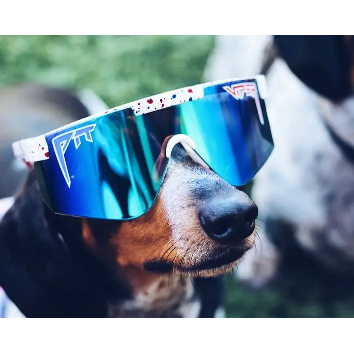 Pit Viper The Merika 2000's Sunglasses 