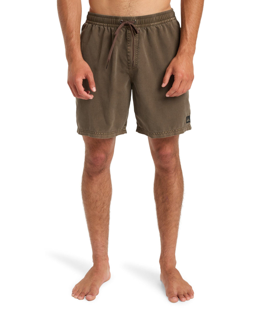 Quiksilver Everyday Surfwash 17" Boardshorts 