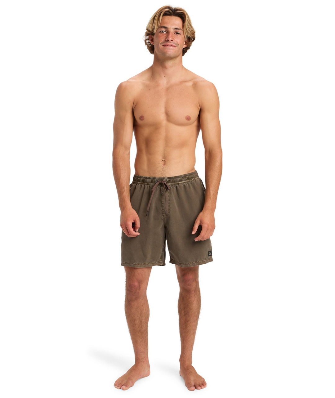Quiksilver Everyday Surfwash 17" Boardshorts 