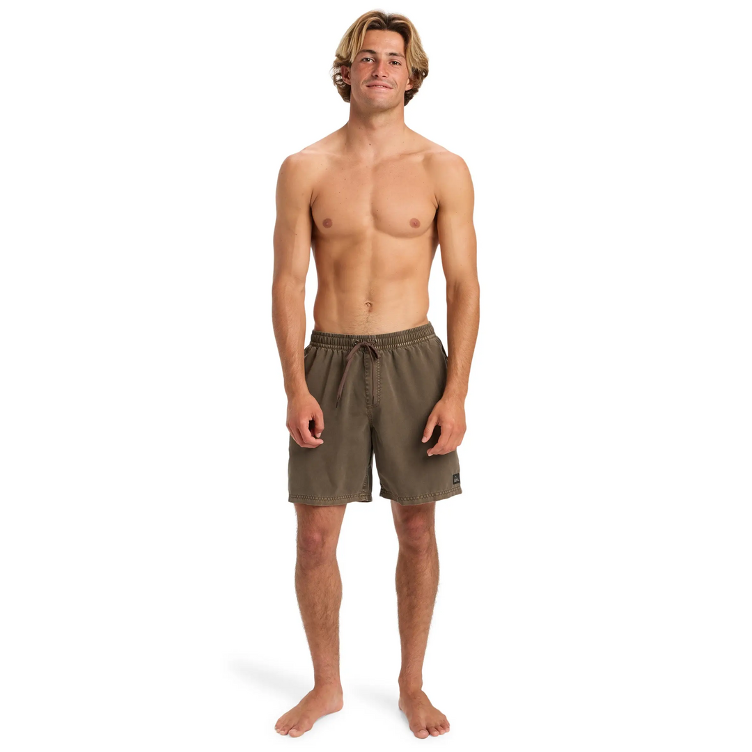 Quiksilver Everyday Surfwash 17" Boardshorts 
