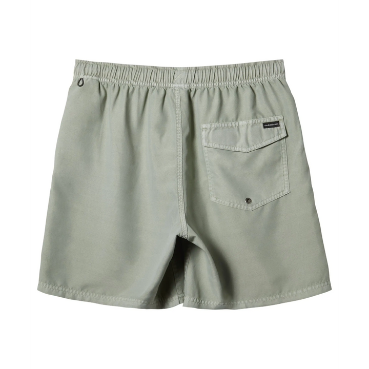 Quiksilver Everyday Surfwash Volley 17" Boardies 