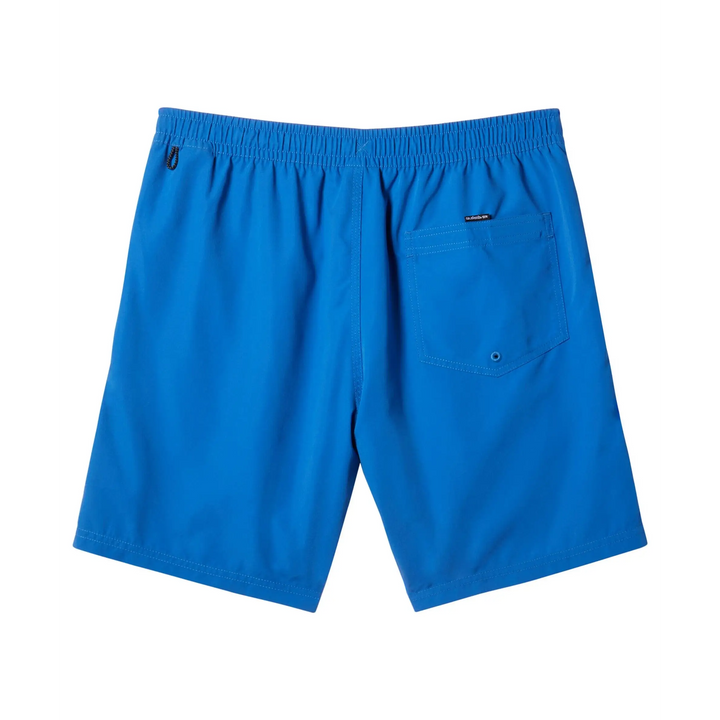 Quiksilver Everyday Vert Volley 17" Boardies 