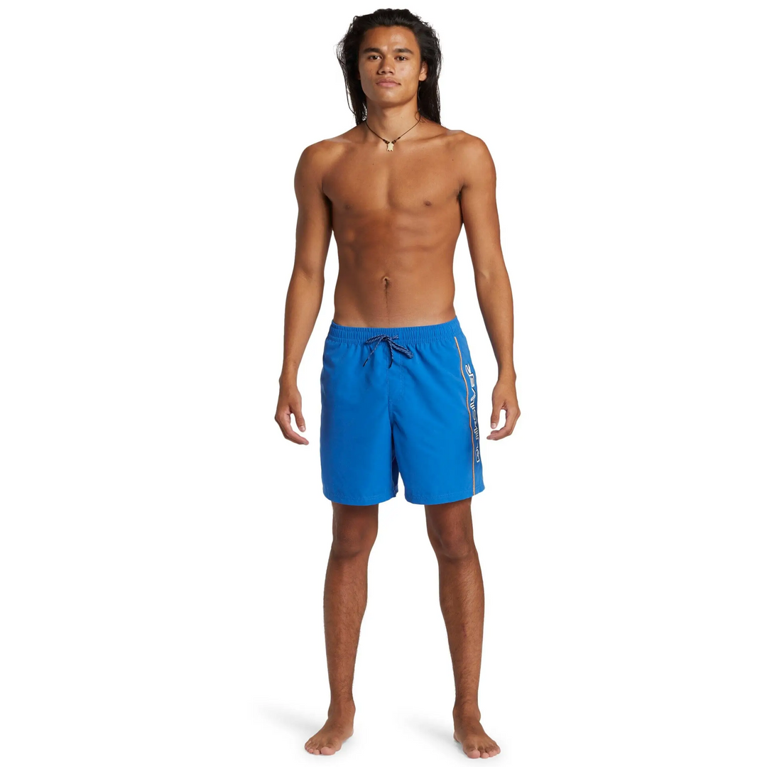 Quiksilver Everyday Vert Volley 17" Boardies 