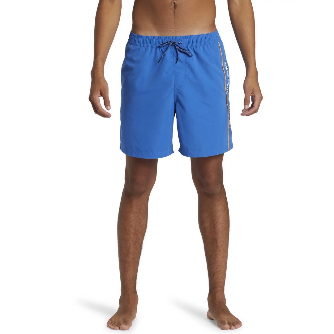 Quiksilver Everyday Vert Volley 17" Boardies 