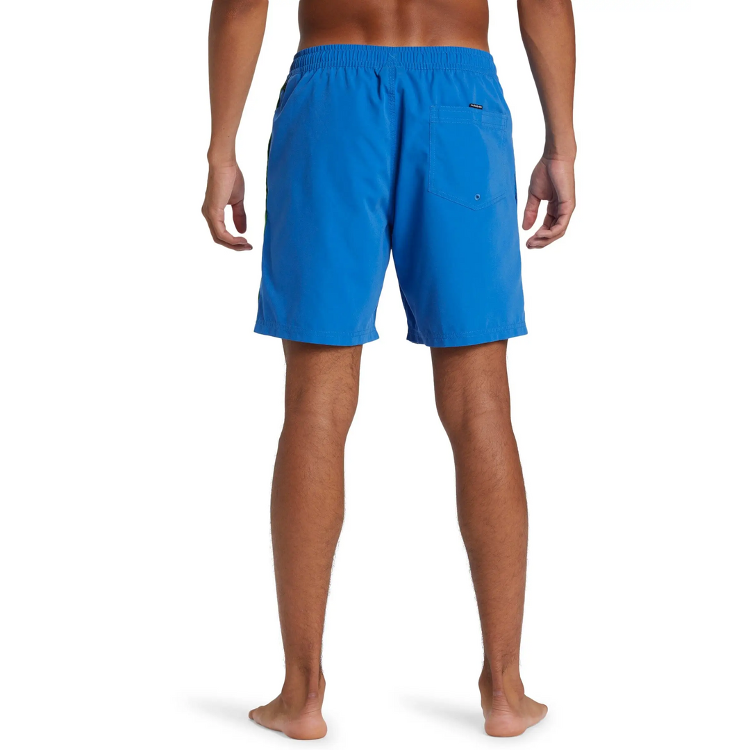 Quiksilver Everyday Vert Volley 17" Boardies 