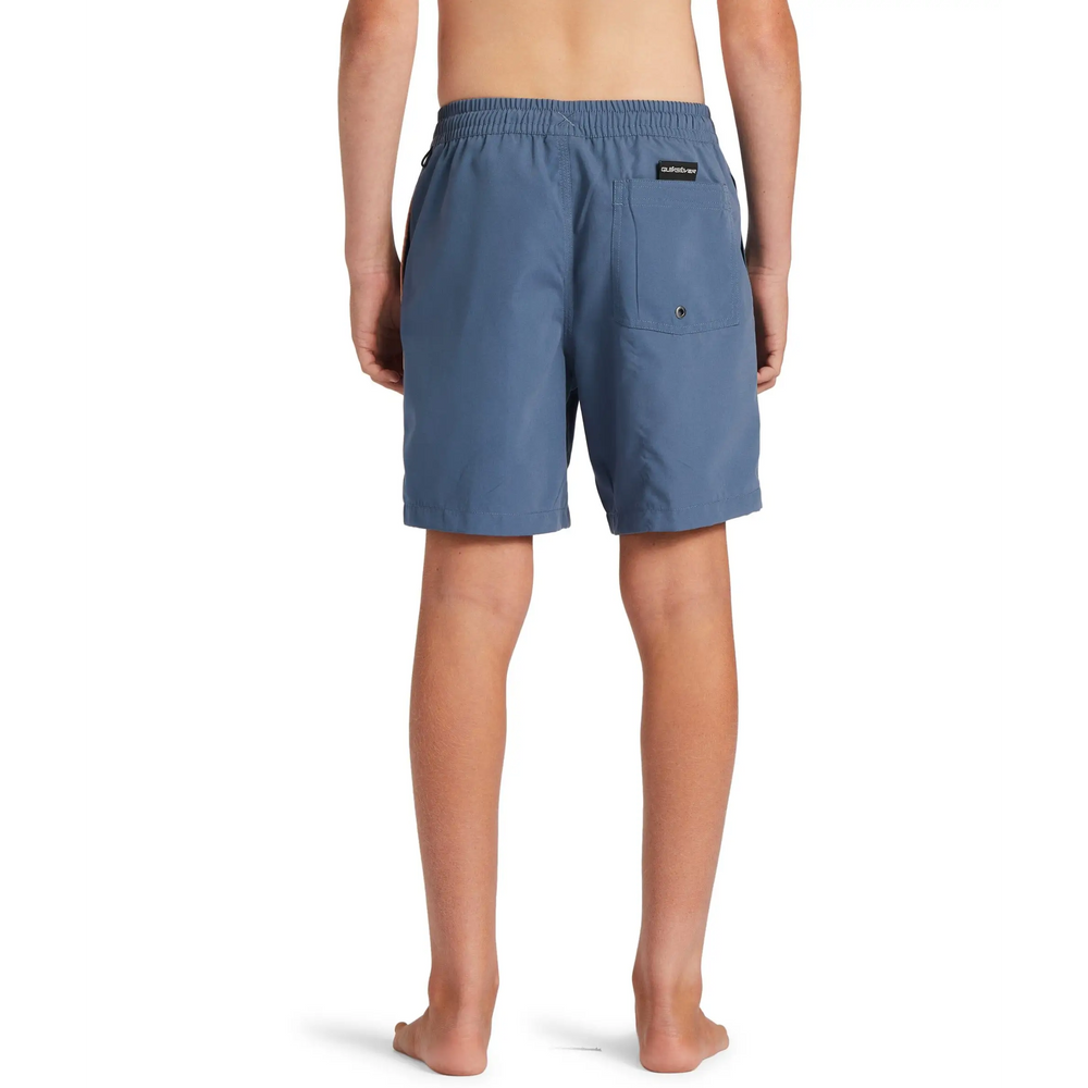Quiksilver Everyday Vert Volley Youth 15" Boardshorts 