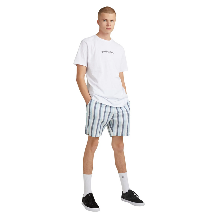 Quiksilver Lite Stripes El Walkshort 