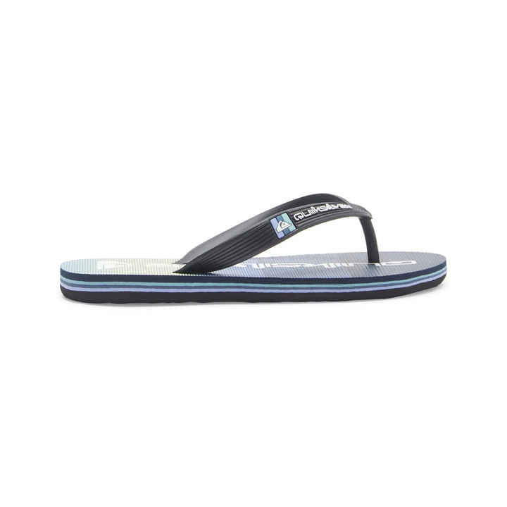 Quiksilver Molokai Art II Youth Jandals 