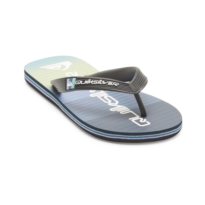 Quiksilver Molokai Art II Youth Jandals 