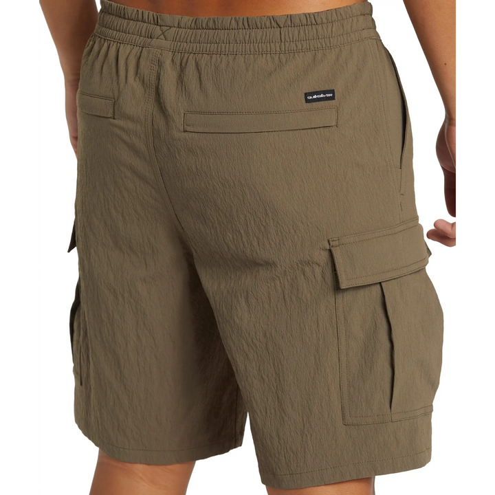 Quiksilver Taxer Cargo Amphibian 19" Shorts 