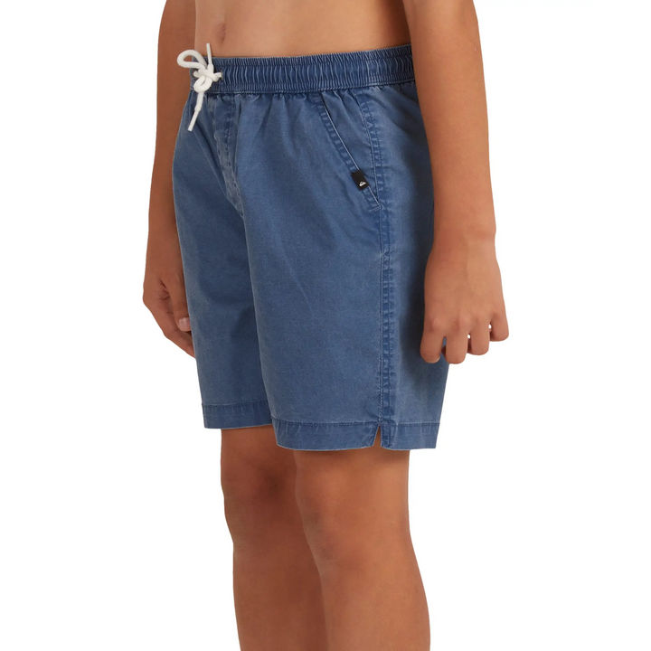 Quiksilver Taxer Elasticated Youth Shorts 