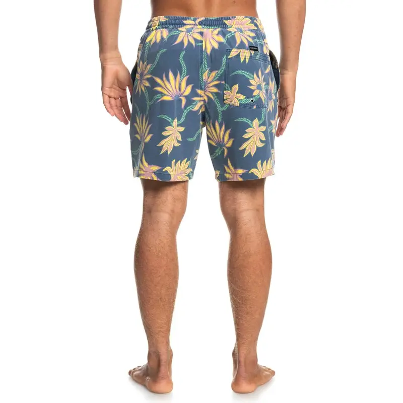Quiksilver Washed Session 17" Boardshorts 