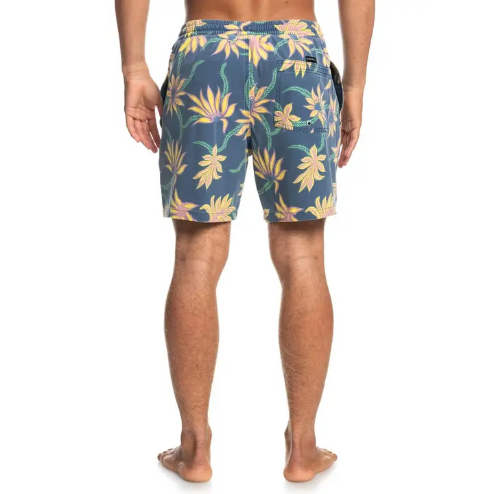 Quiksilver Washed Session 17" Boardshorts 
